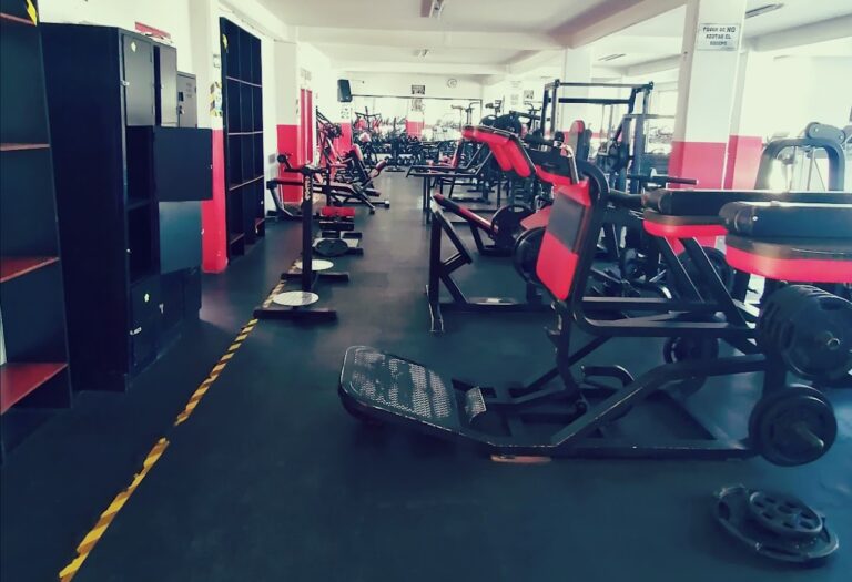 18364 rudos gym ecatepec 768x525