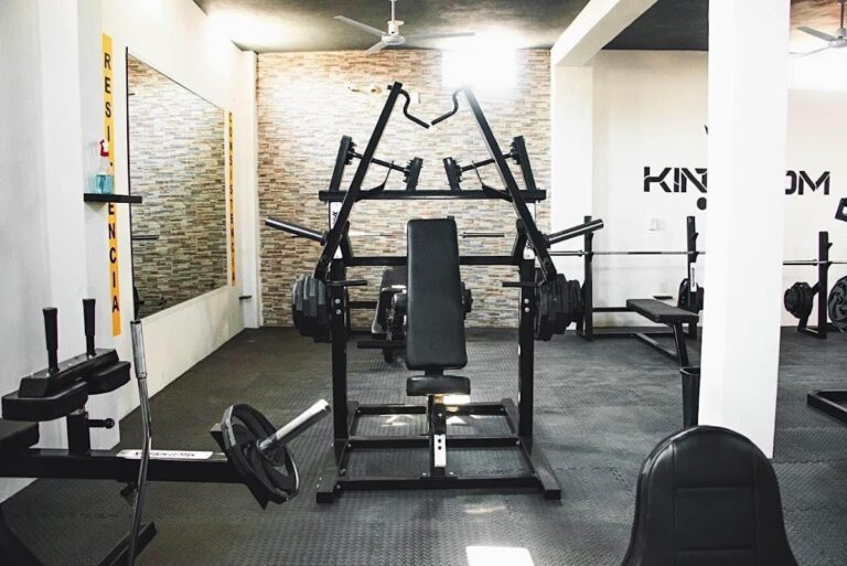 18384 kingdom gym 768x513