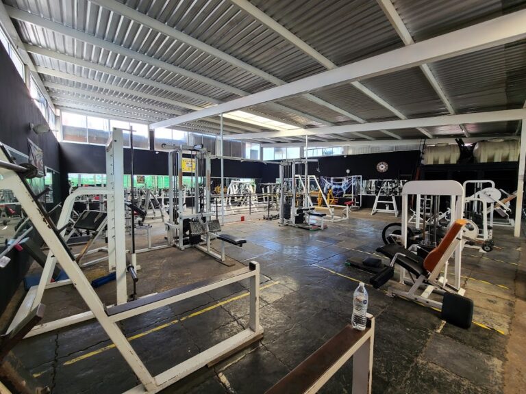 18400 iron gym oaxaca 768x576