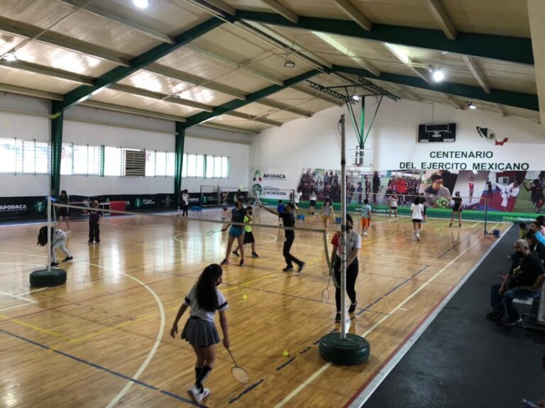 18408 gimnasio municipal centro 8220centenario del ejercito mexicano8221 768x575