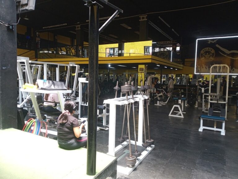 18445 golden gym cholula 768x576