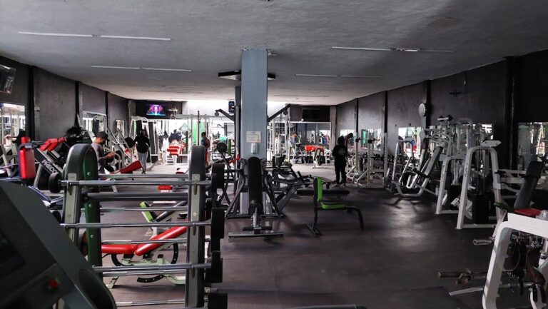 18447 muscle gym 768x433