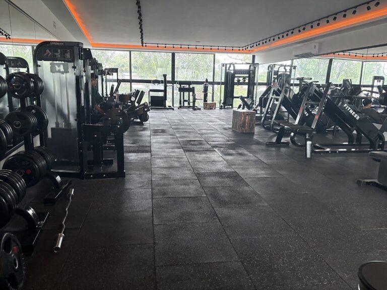 18470 progym 768x576