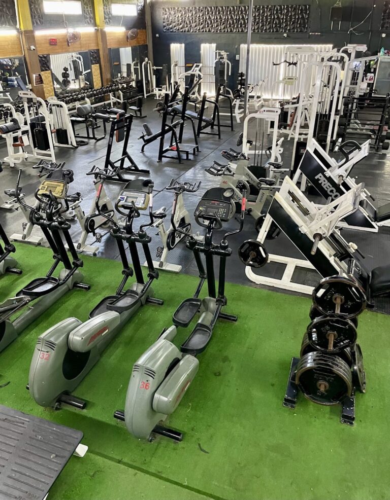 18476 pro life fitness gym 768x986