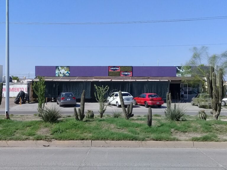 18528 evolution gym 768x576