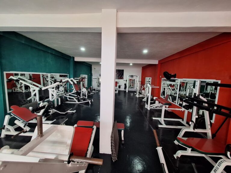 18604 gym patriotas 768x576