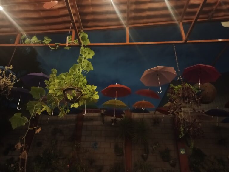 18822 temazcal spa atle xochitl 768x576