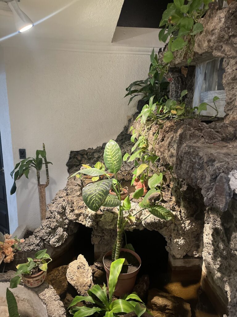 18867 inda spa 8211 spa tlalnepantla 768x1024