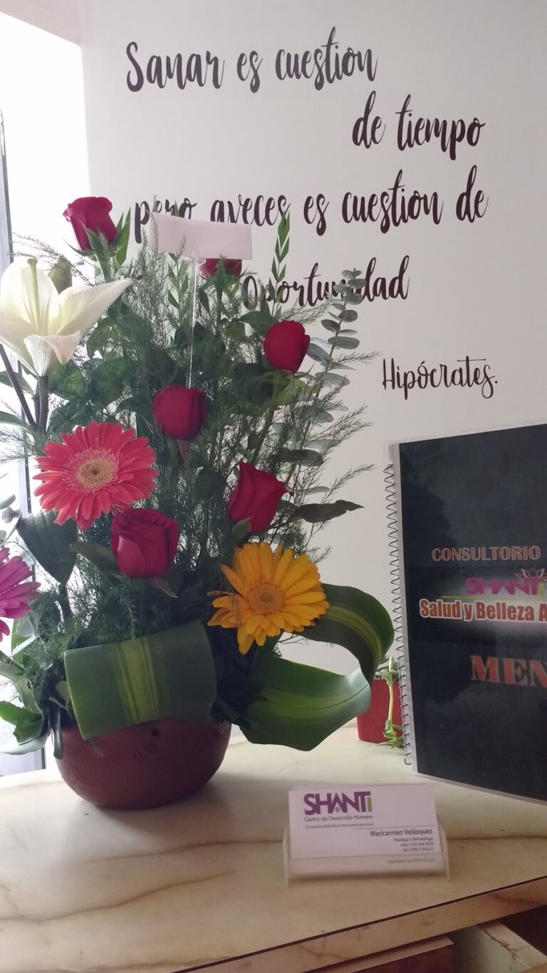 18892 shanti spa grupo clinico integral 768x1365