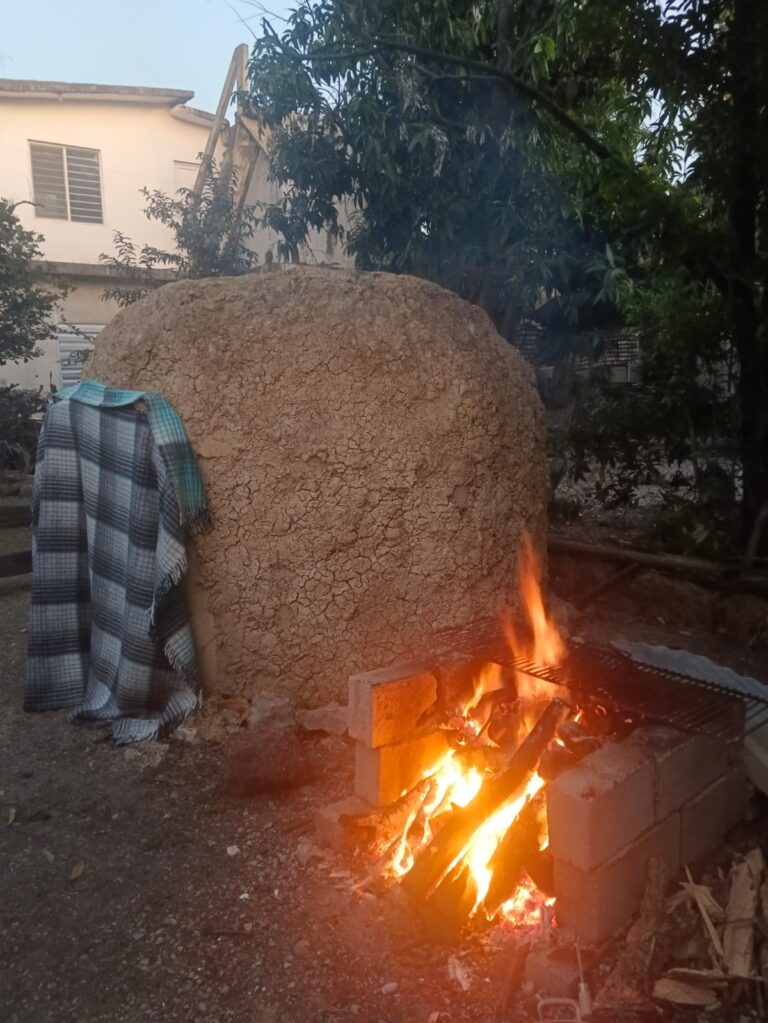 18999 temazcal del valle 768x1023