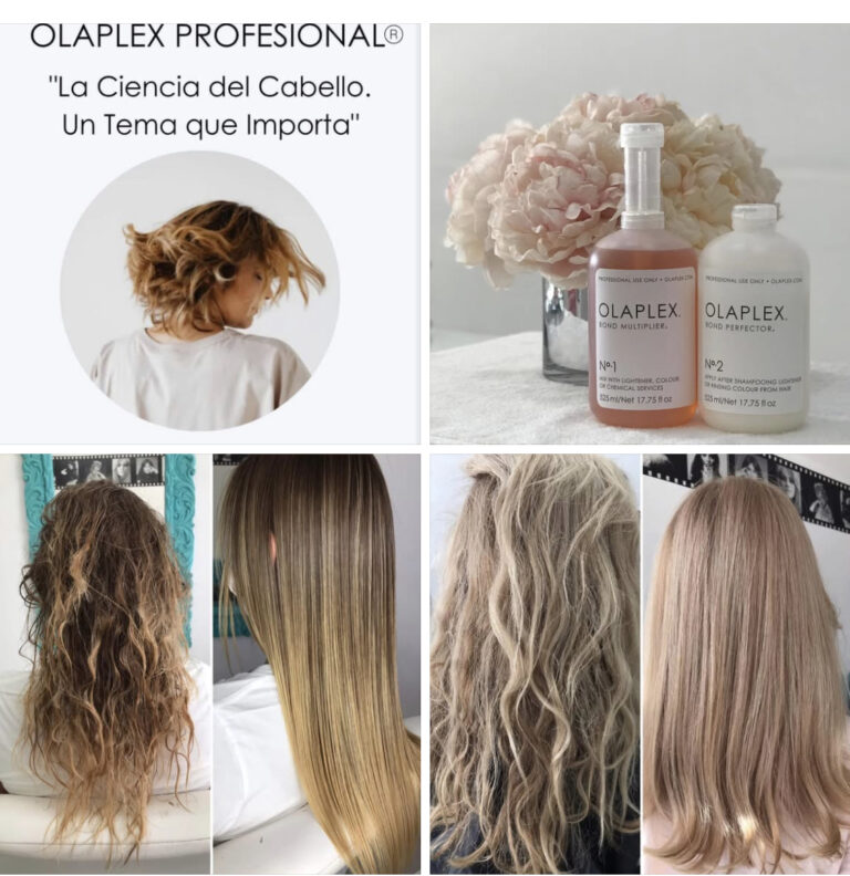 19167 elite beauty zone by marissa rivera 768x792