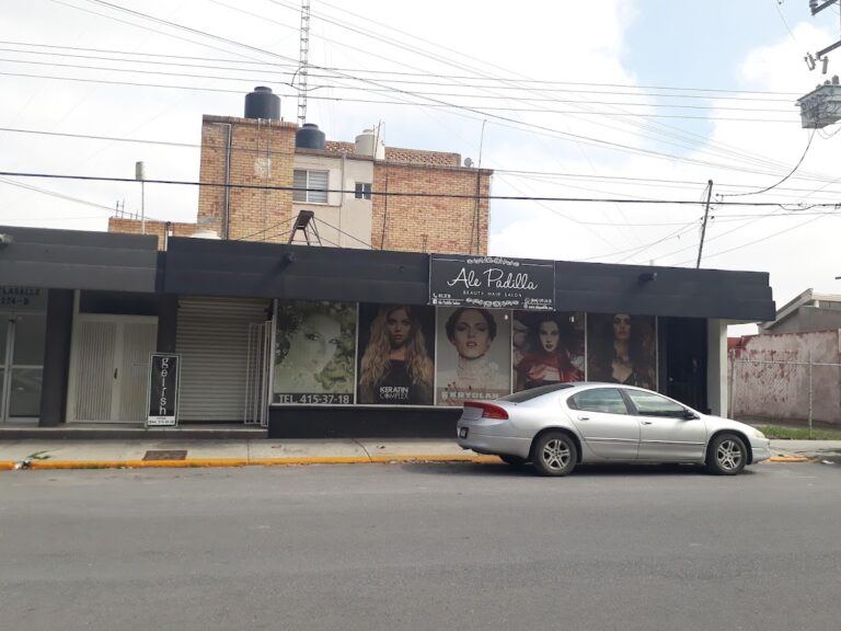 19234 ale padilla beauty hair salon 768x576
