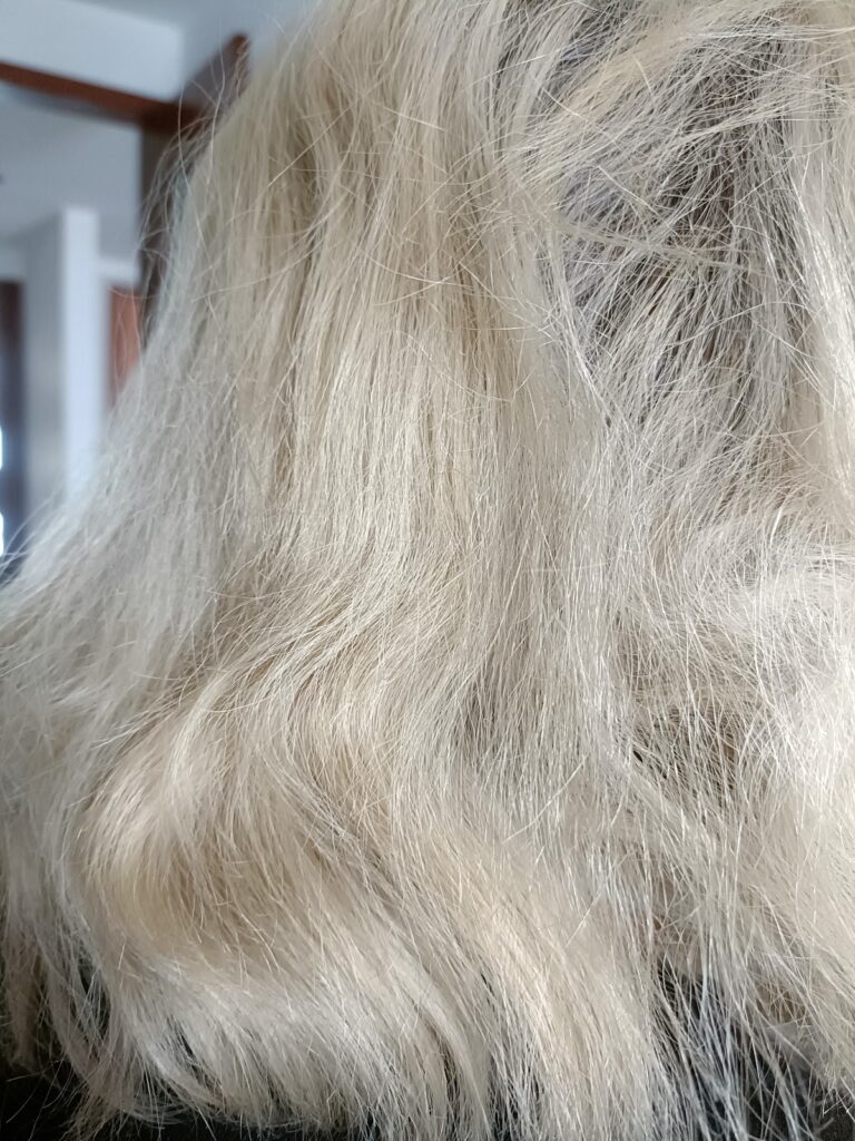 19486 estetica esplendor 768x1024