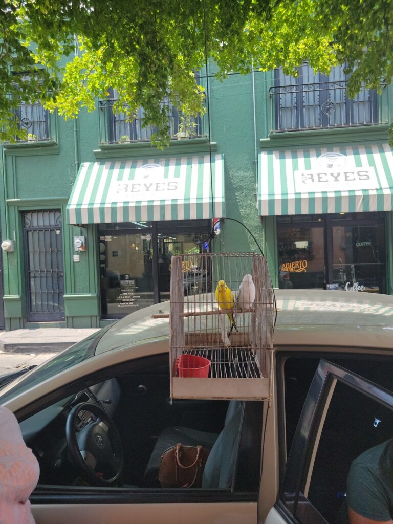 19705 barberia reyes 768x1024