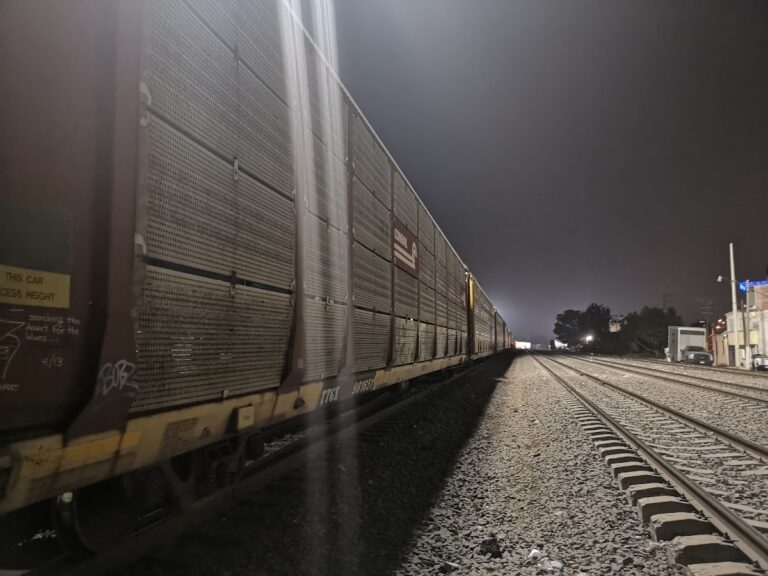 2006 doctores 768x576