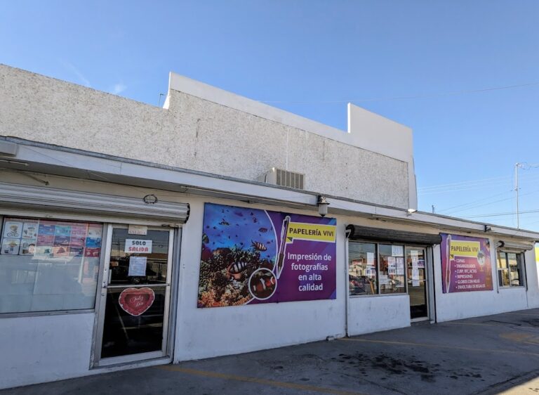 20089 papeleria vivi 768x562