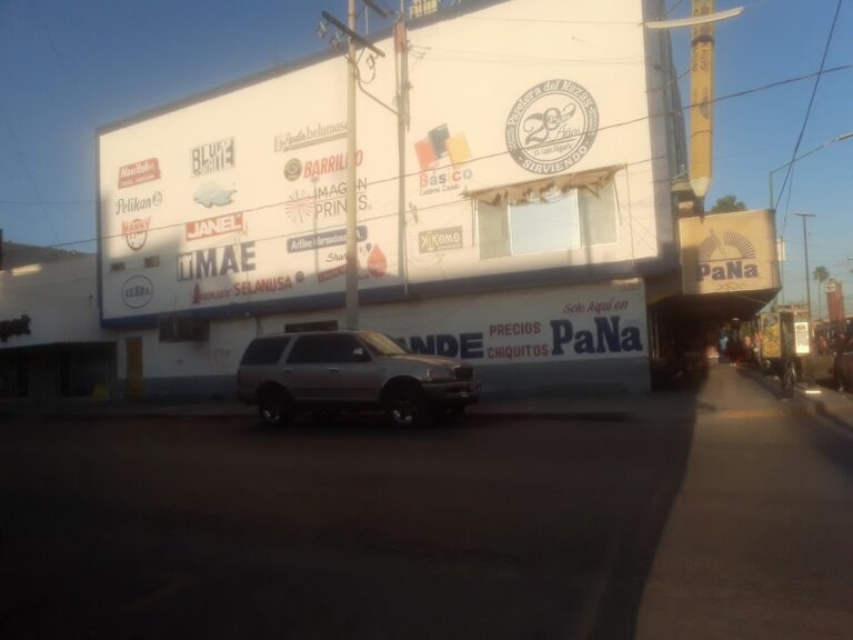 20153 papelera del nazas s.a. de c.v 768x576