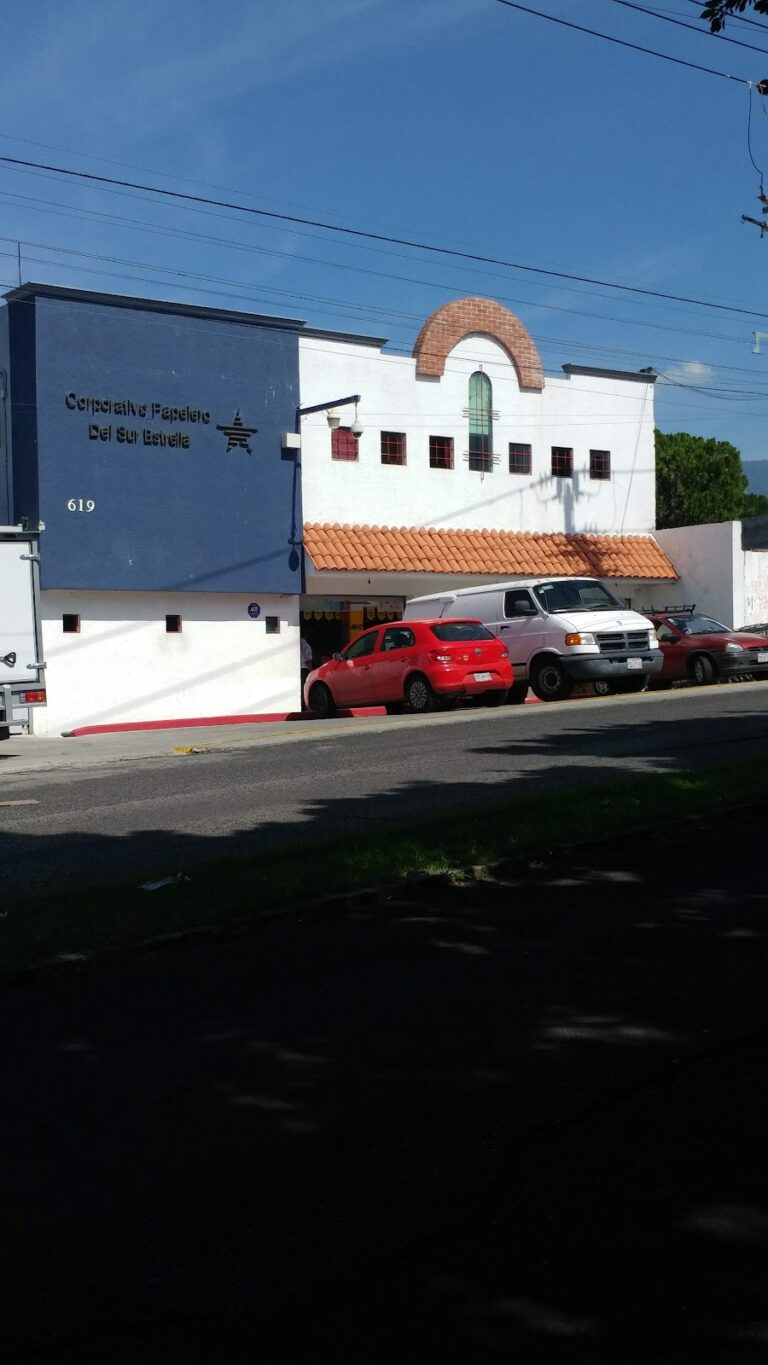 20288 corporativo papelero del sur estrella 768x1365