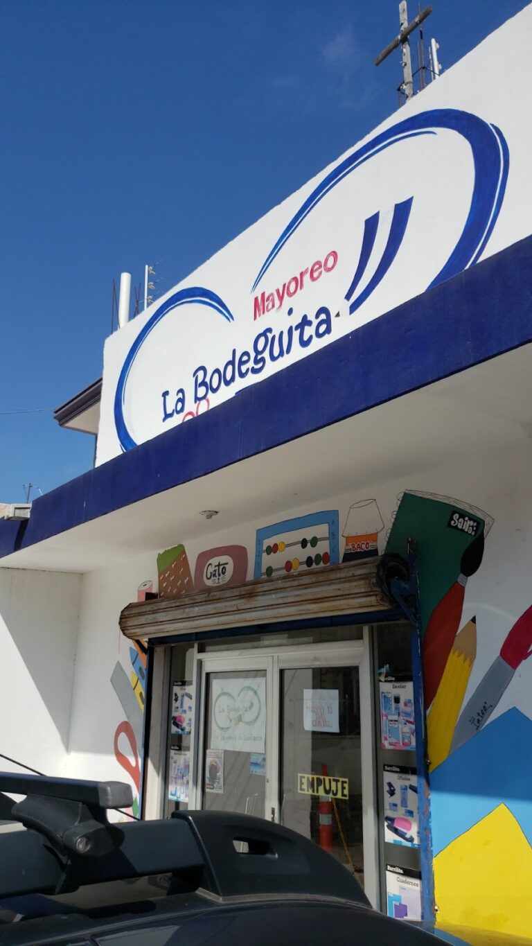 20392 mayoreo la bodeguita 768x1365