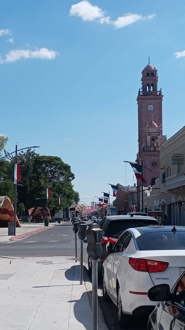 20639 fotografia minor 768x1365