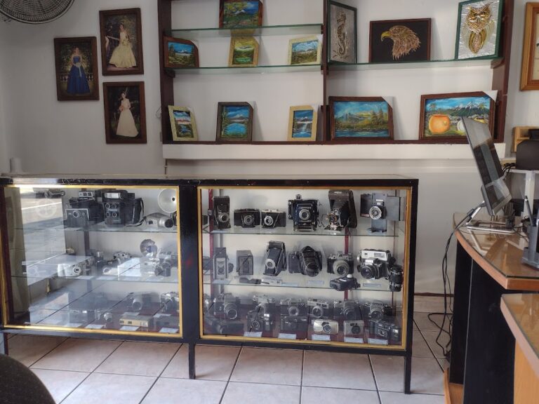 20673 foto fenix 768x576