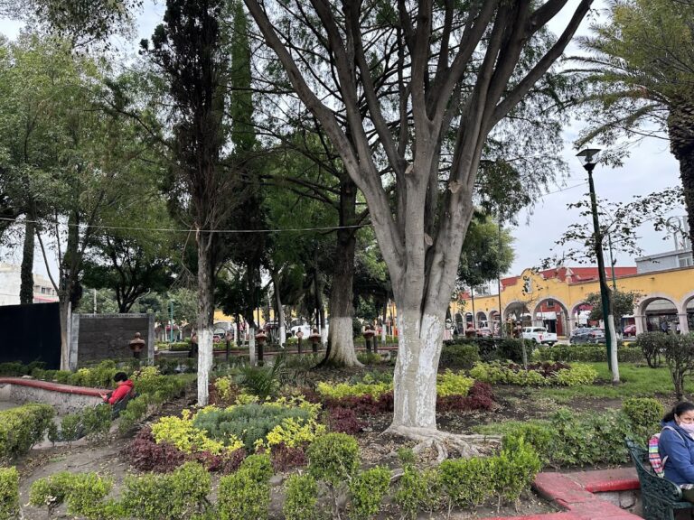 20782 foto latino 768x576