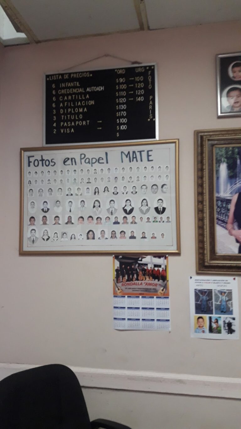 20960 foto paris 768x1365