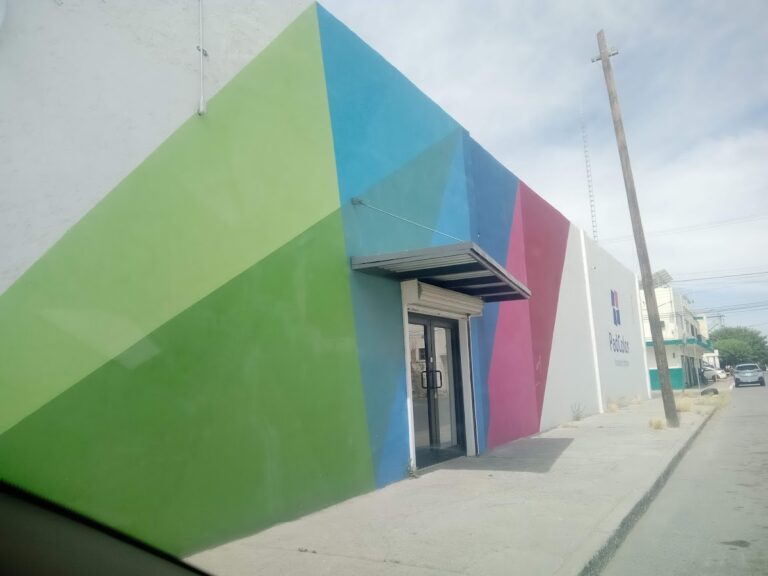 21119 monarca padi juarez 768x576