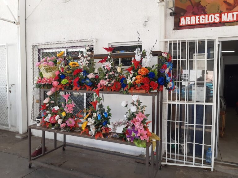 21561 floreria san jose 768x576