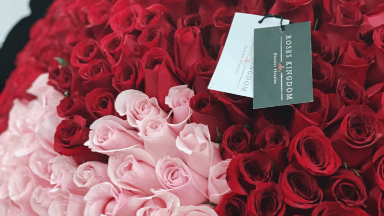 21571 roses kingdom 768x433