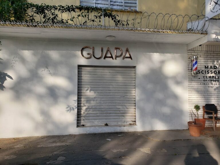 21611 floreria guapa con flores 8211 flores a domicilio envia flores 768x576