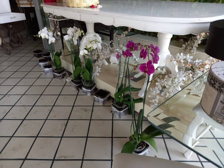 21637 floreria simental 768x576