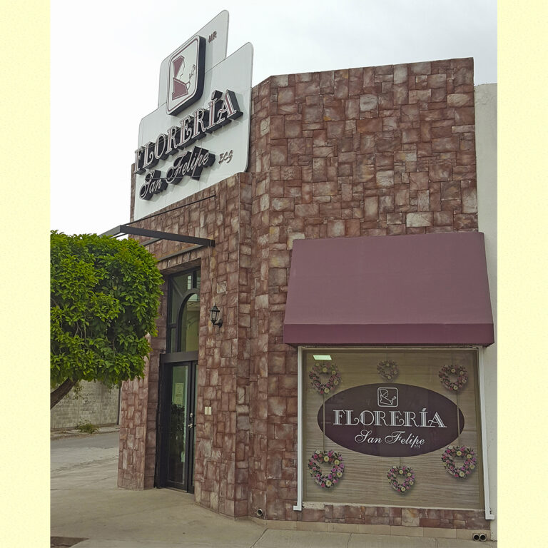 21651 floreria san felipe 768x768