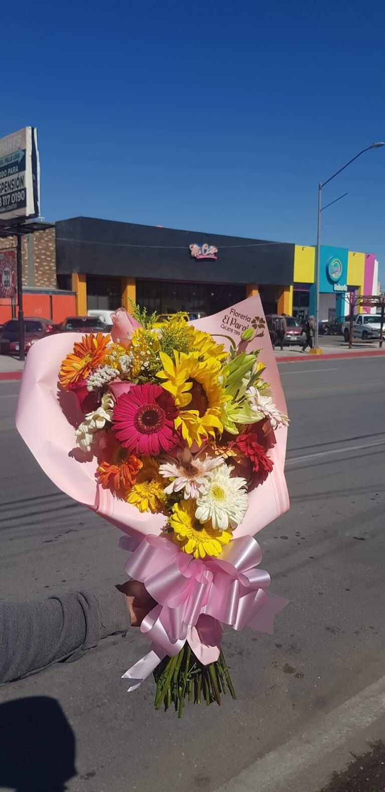 21659 floreria el paraiso 768x1579