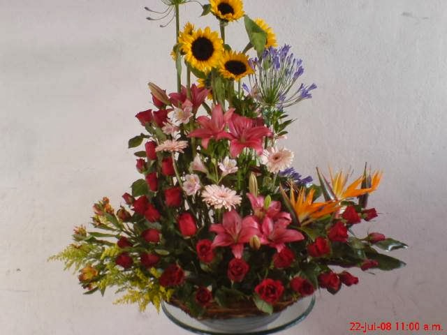 21687 floreria dlirios