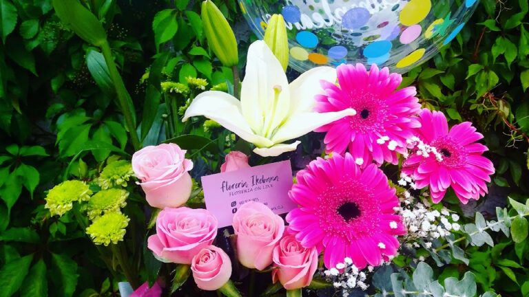 21711 floreria celaya gto.ikebana floreria 100 en linea no contamos con servicio de puertas abiertas al publico 768x432