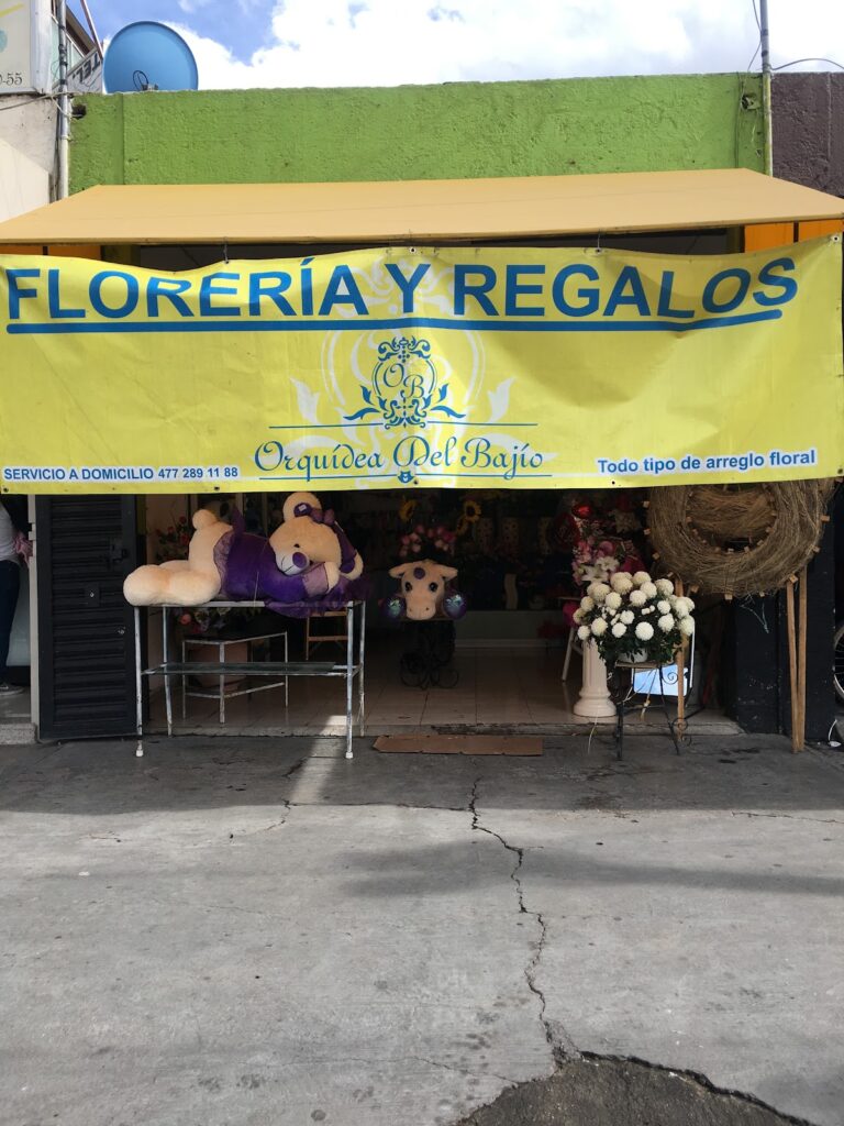 21721 floreria y regalos orquidea del bajio 768x1024
