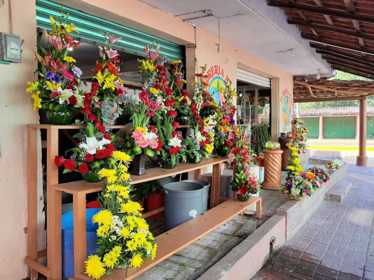 21725 floreria mary 768x576