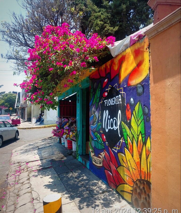 21785 floreria nicol 768x905