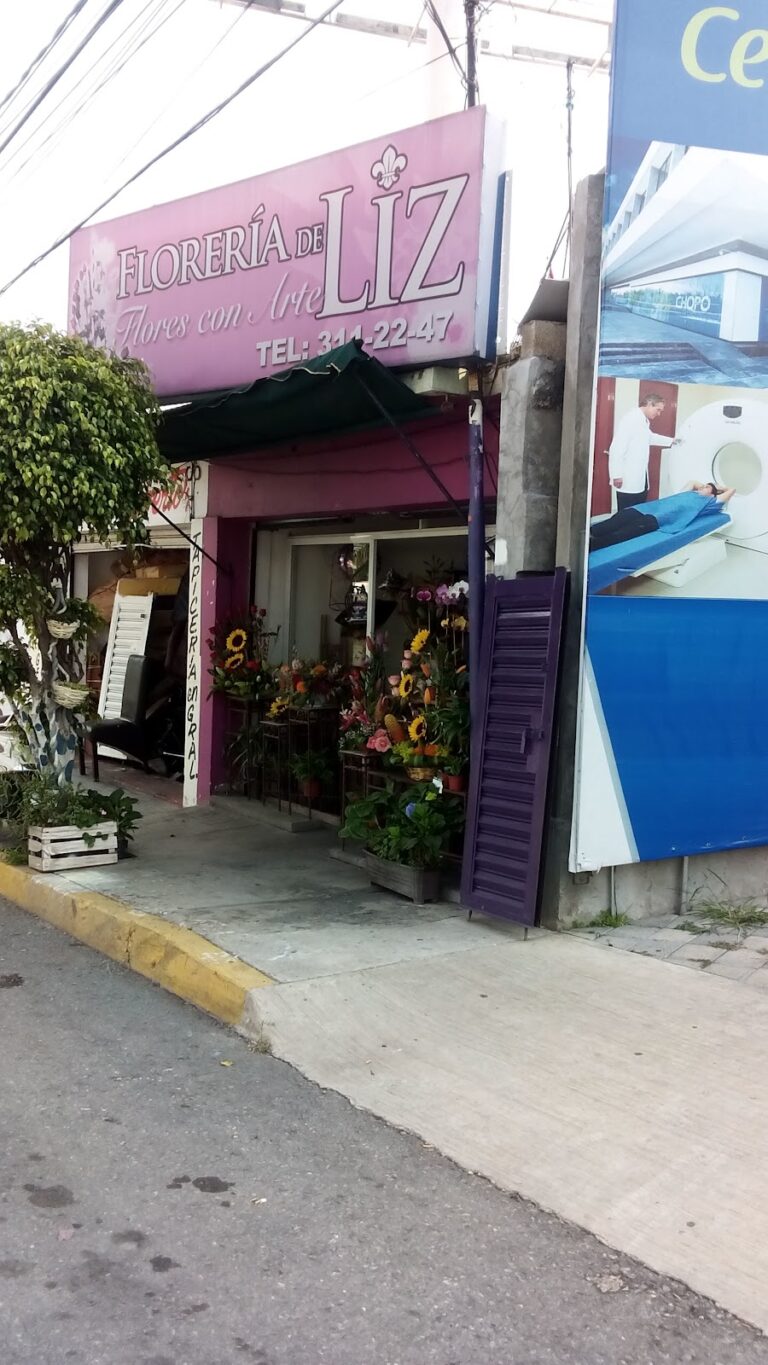 21821 florerias en cuernavaca 8211 floreria de liz 768x1365