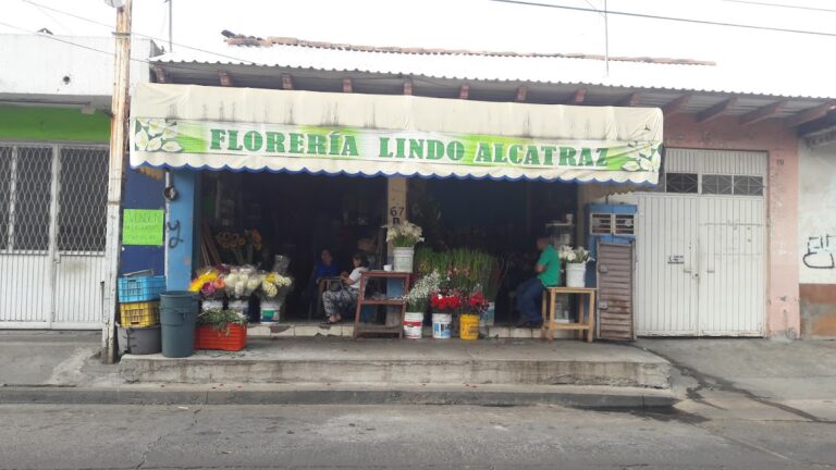 21825 floreria lindo alcatraz 768x432