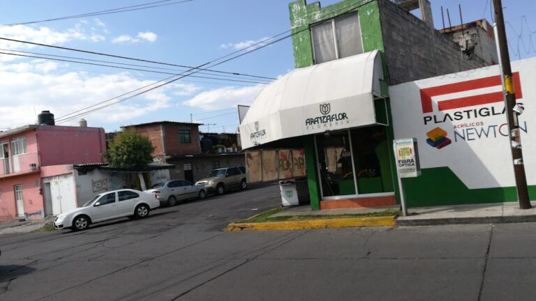 21829 florerias en morelia aranzaflor santiaguito 768x432