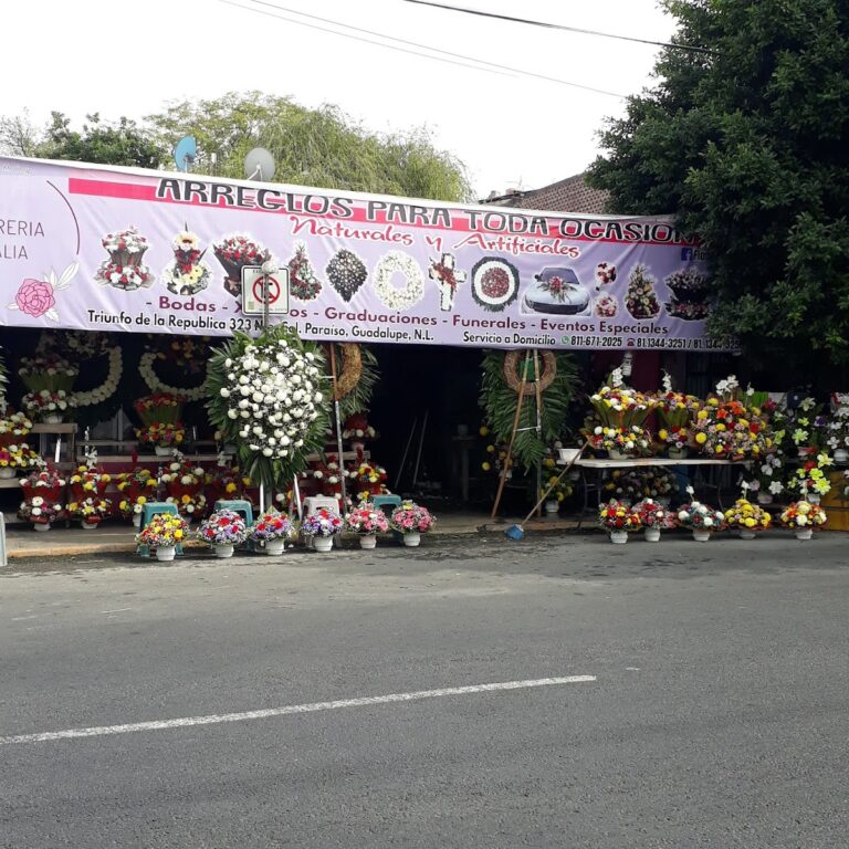 21843 floreria dalia 768x768