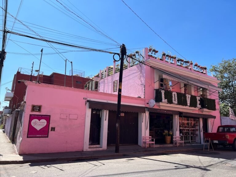 21849 floreria flores de oaxaca 768x576