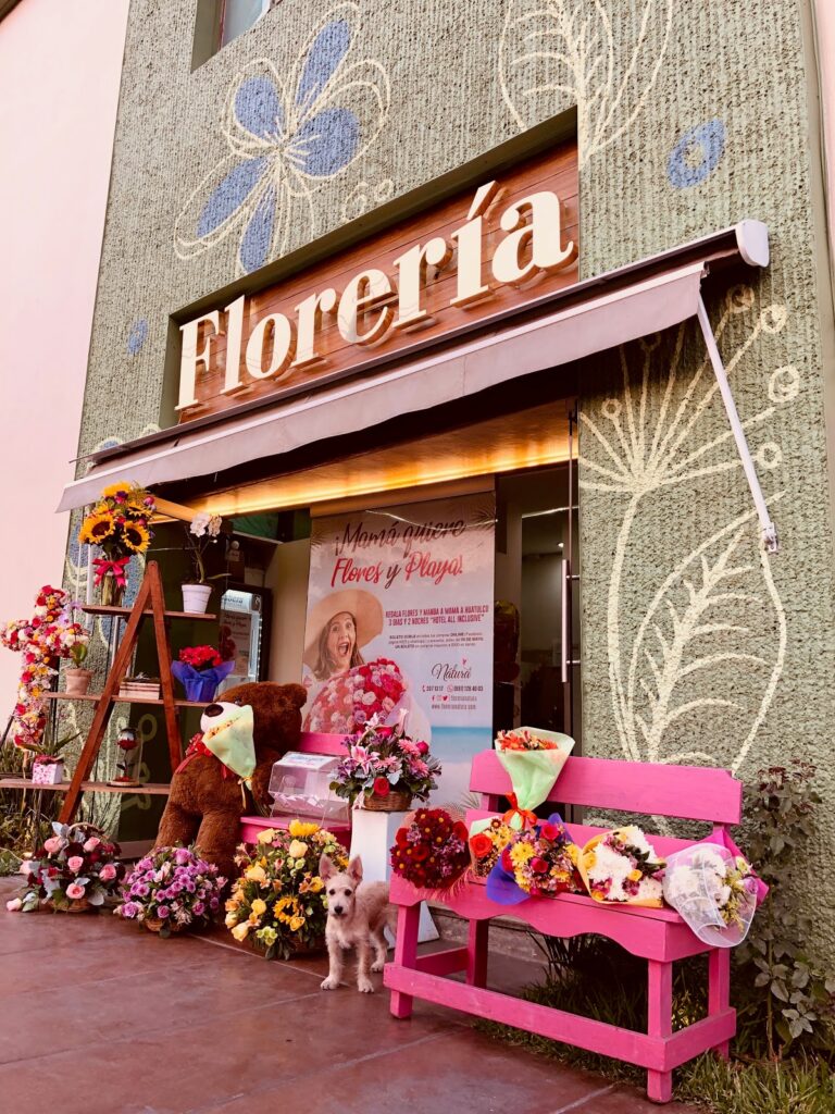 21863 floreria natura 768x1024