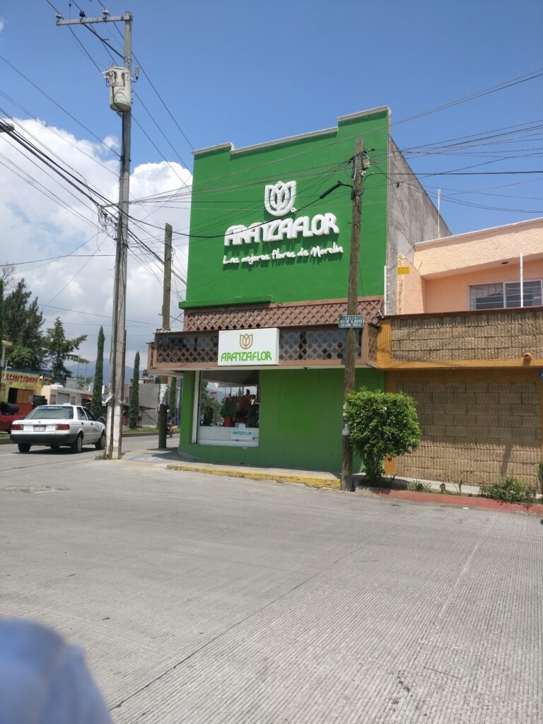 21895 aranzaflor morelia 768x1024