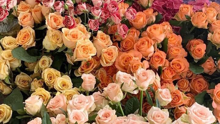 21903 floreria glu dv