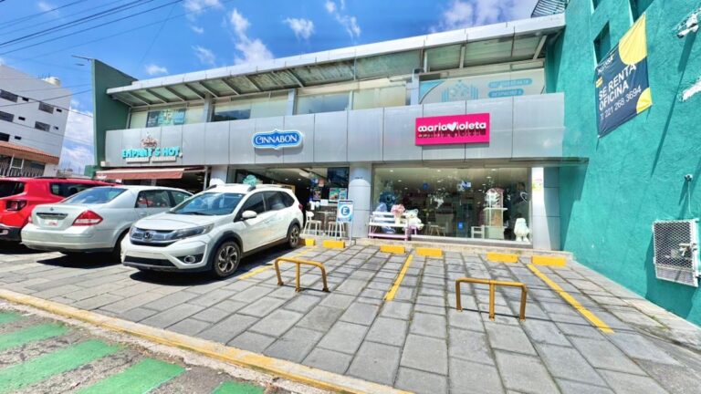 21925 floreria maria violeta 768x432