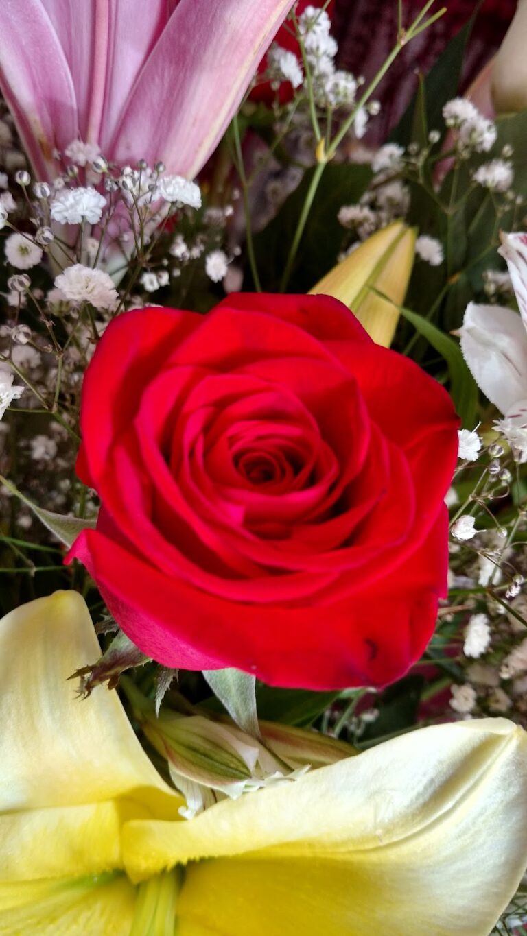 21931 floreria la china 768x1365