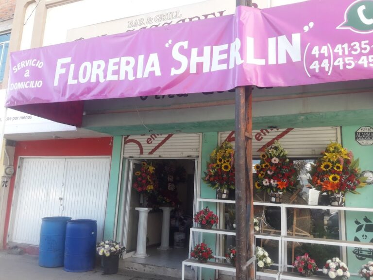 21933 floreria sherlin en san luis potosi 768x576